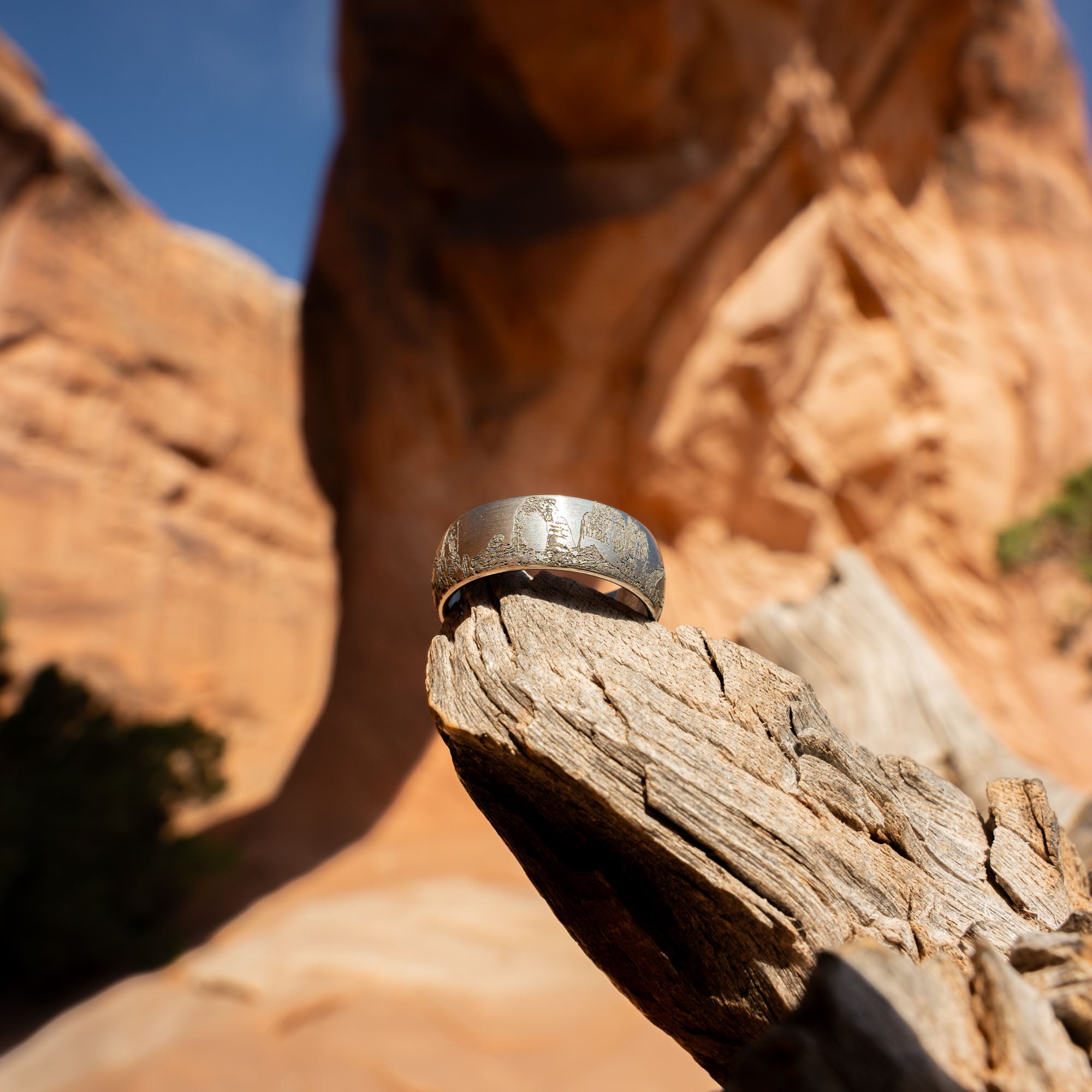 Tungsten Engraved Arches National Park Ring