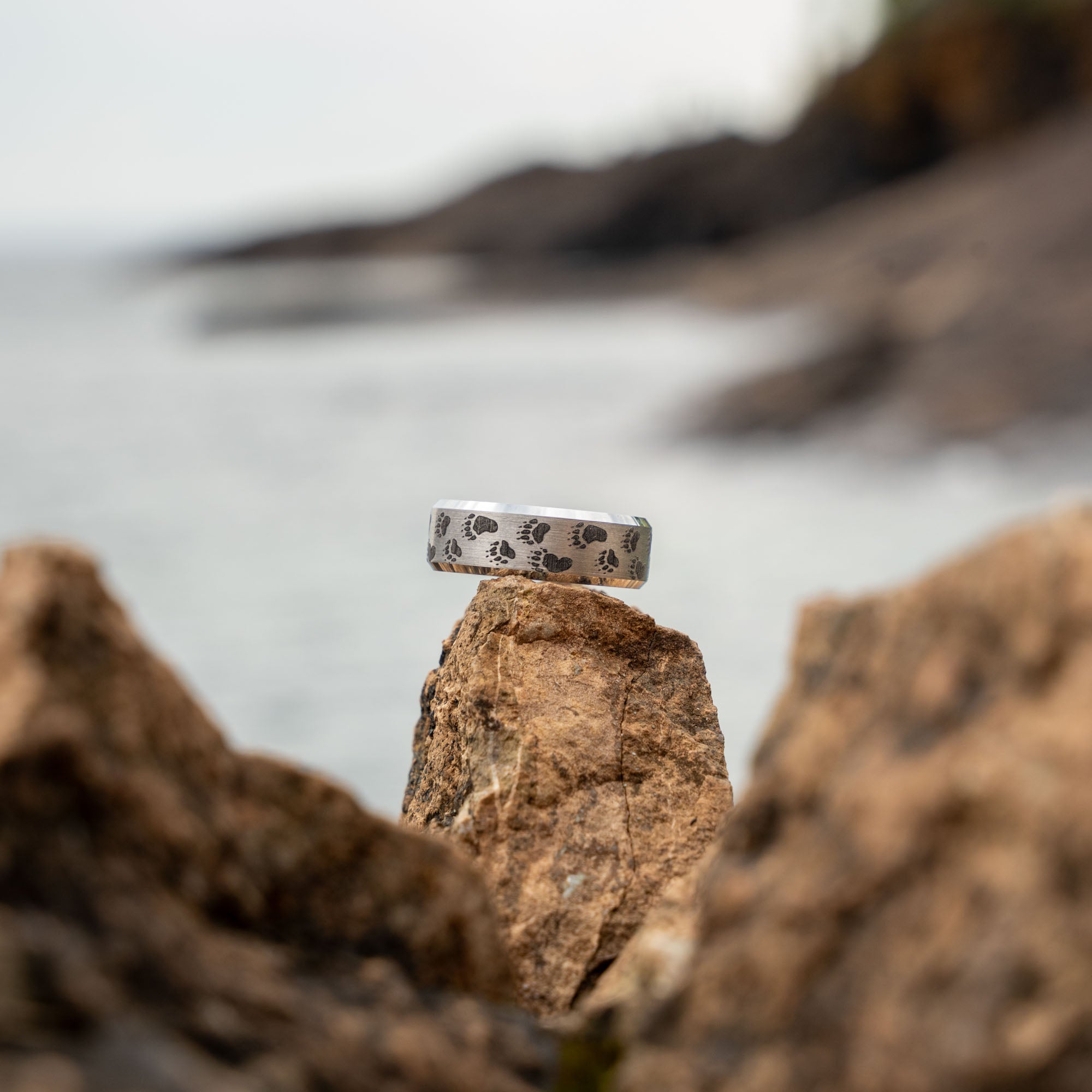 Beveled Tungsten Engraved Bear Tracks Ring