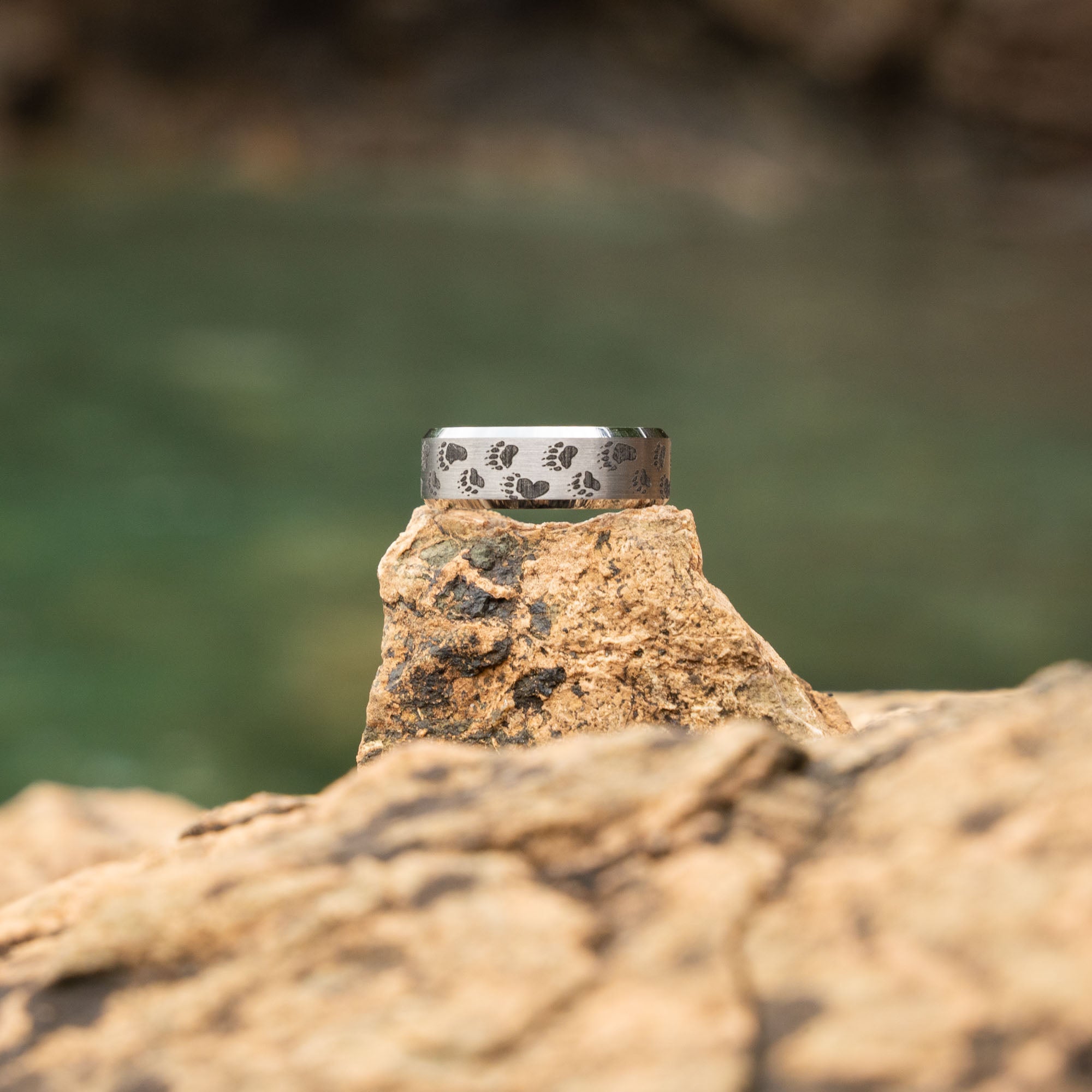 Beveled Tungsten Engraved Bear Tracks Ring