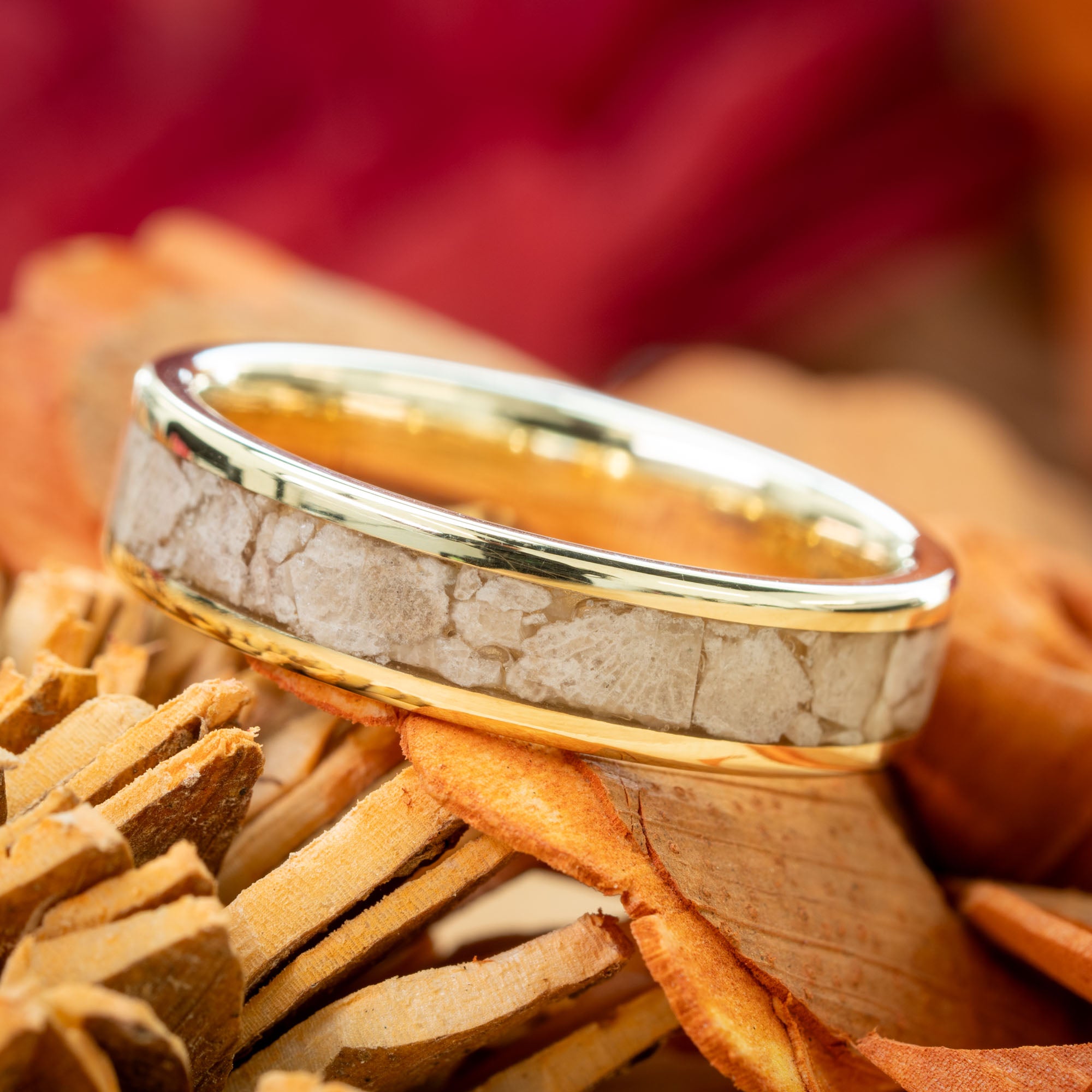 Gold Petoskey Stone Inlay Ring