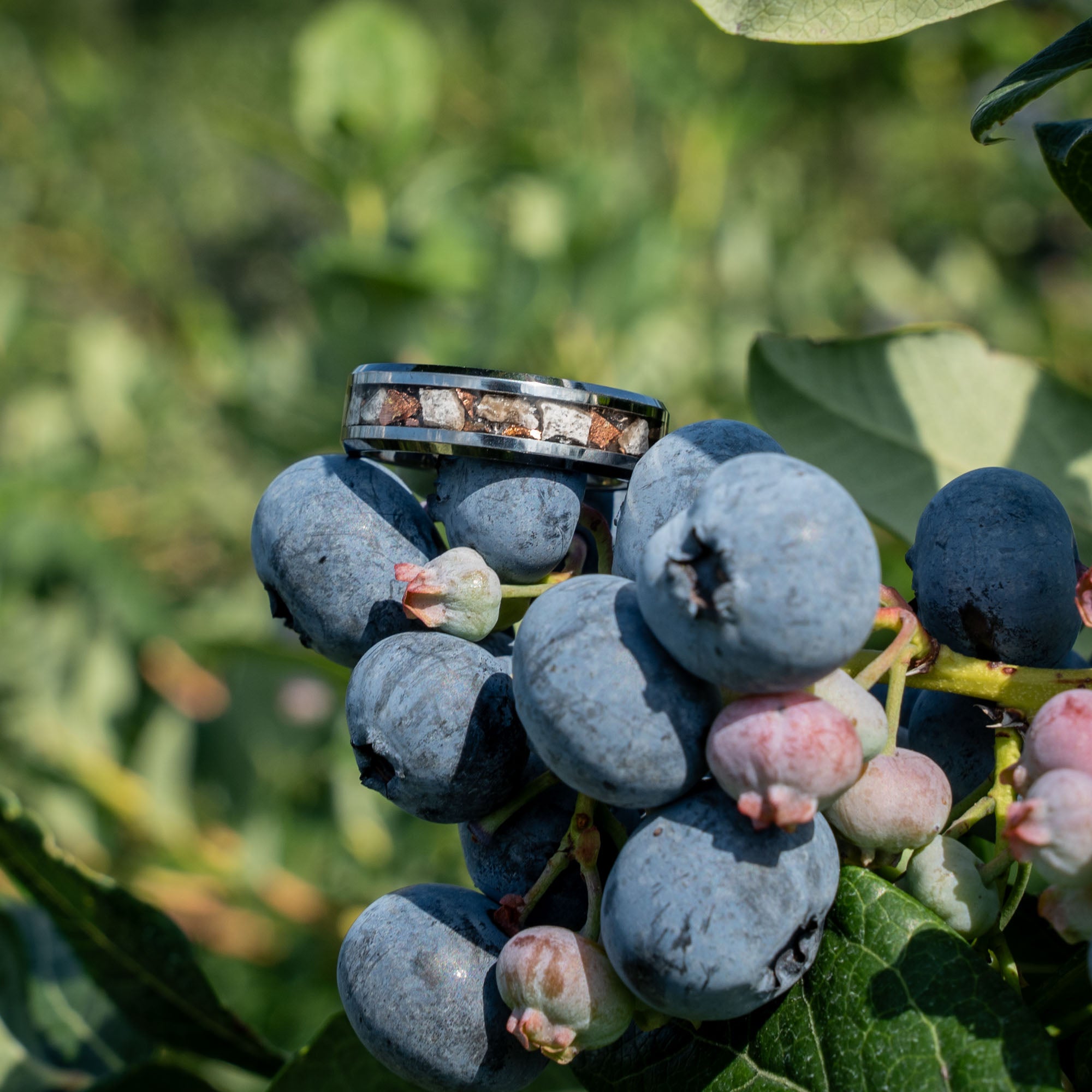 Beveled Tungsten Petoskey Stone & Keweenaw Copper Inlay Ring