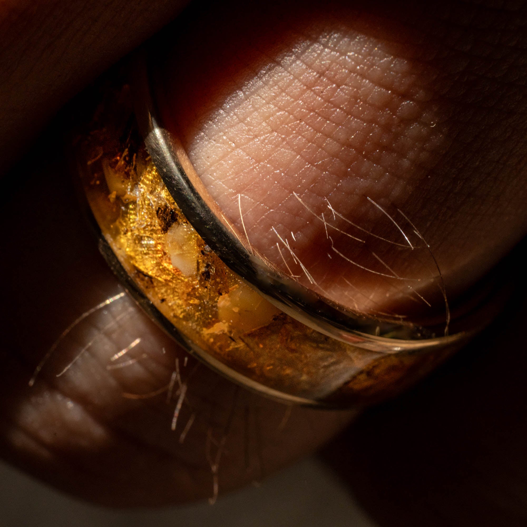 Gold Fossilized Amber Inlay Ring