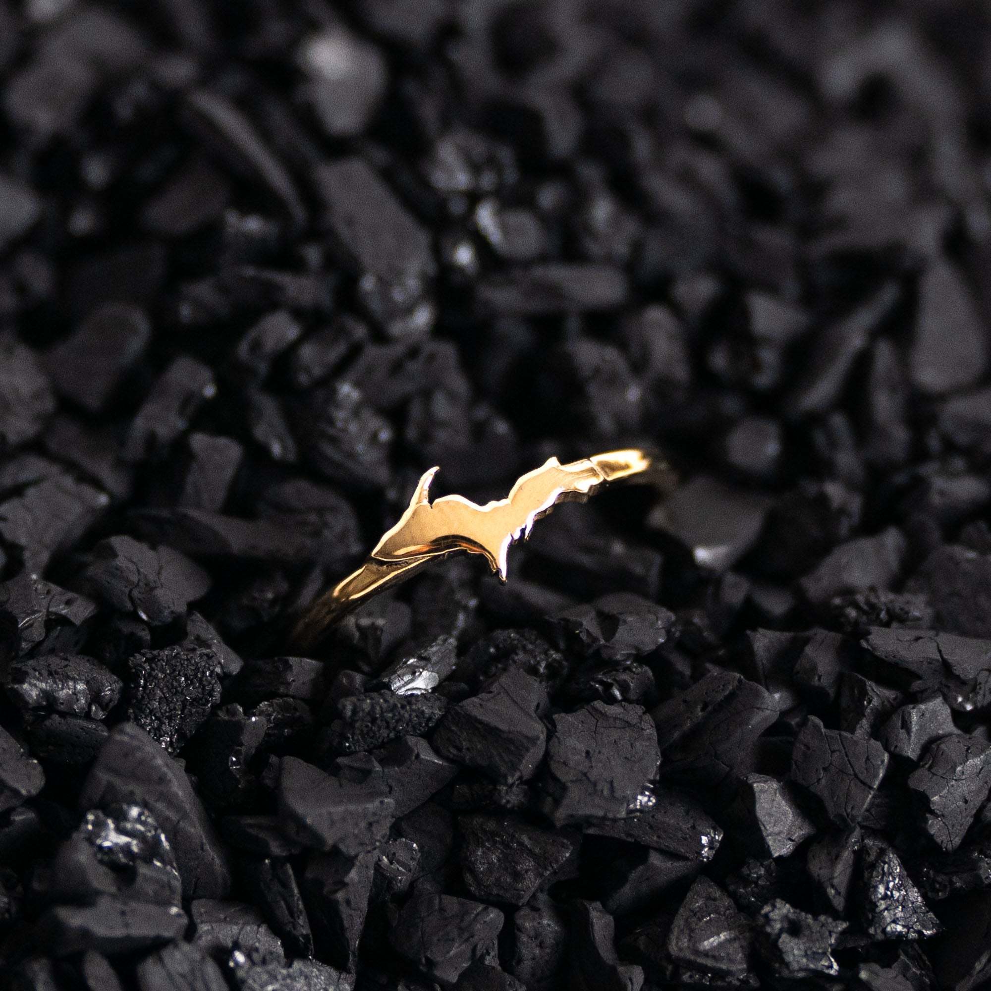 Thin Gold Michigan Upper Peninsula Ring