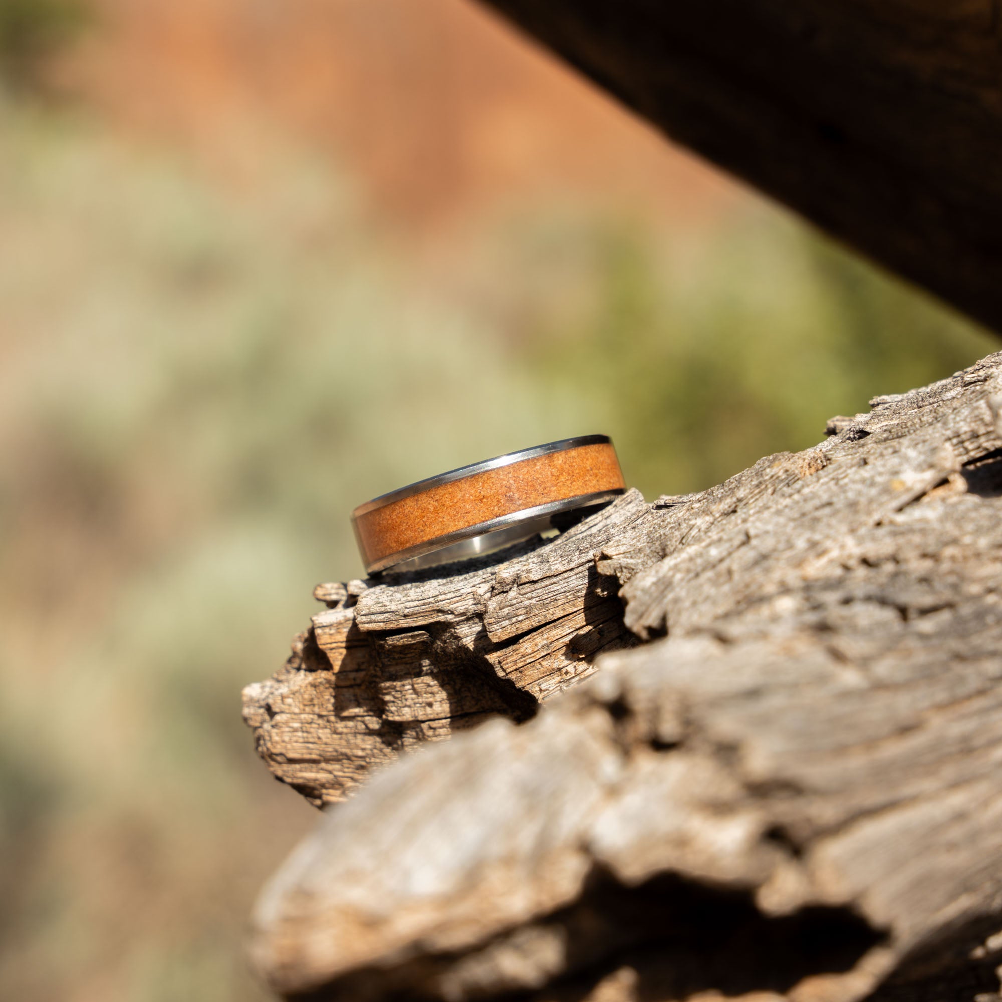 Titanium Moab Utah Rock Inlay Ring