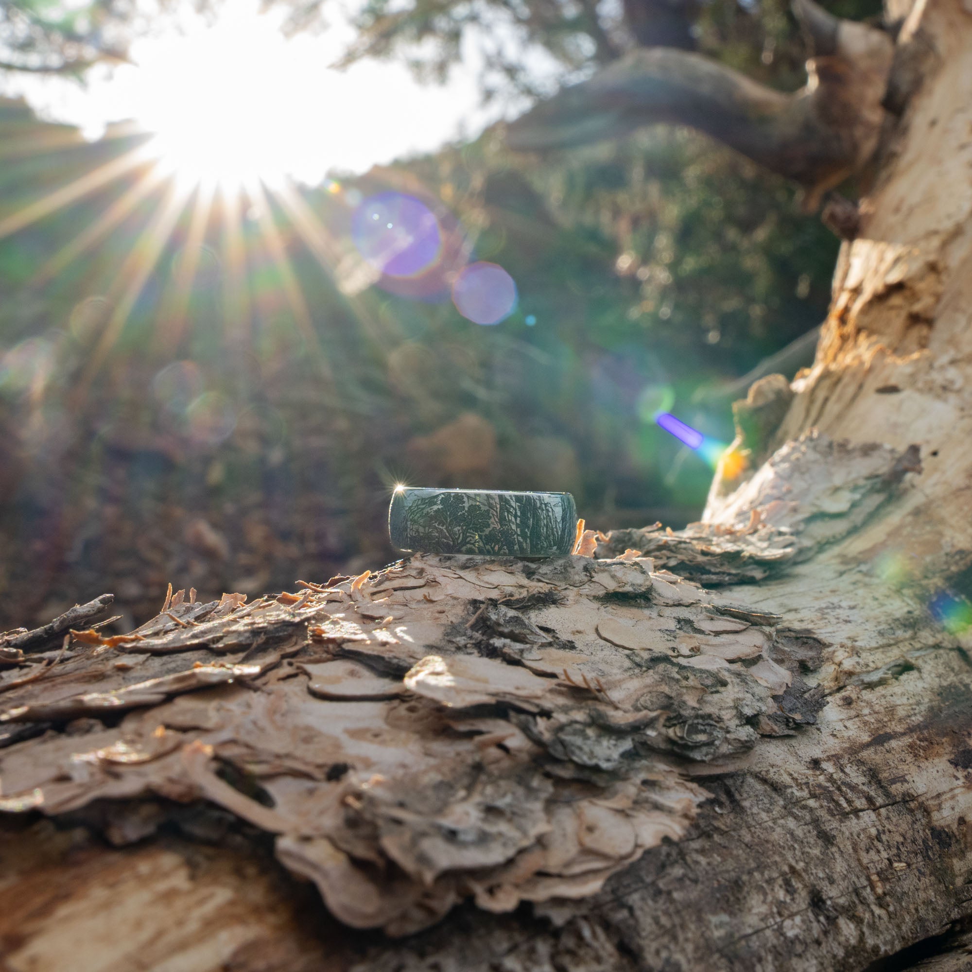 Domed Tungsten Engraved Zion National Park Ring