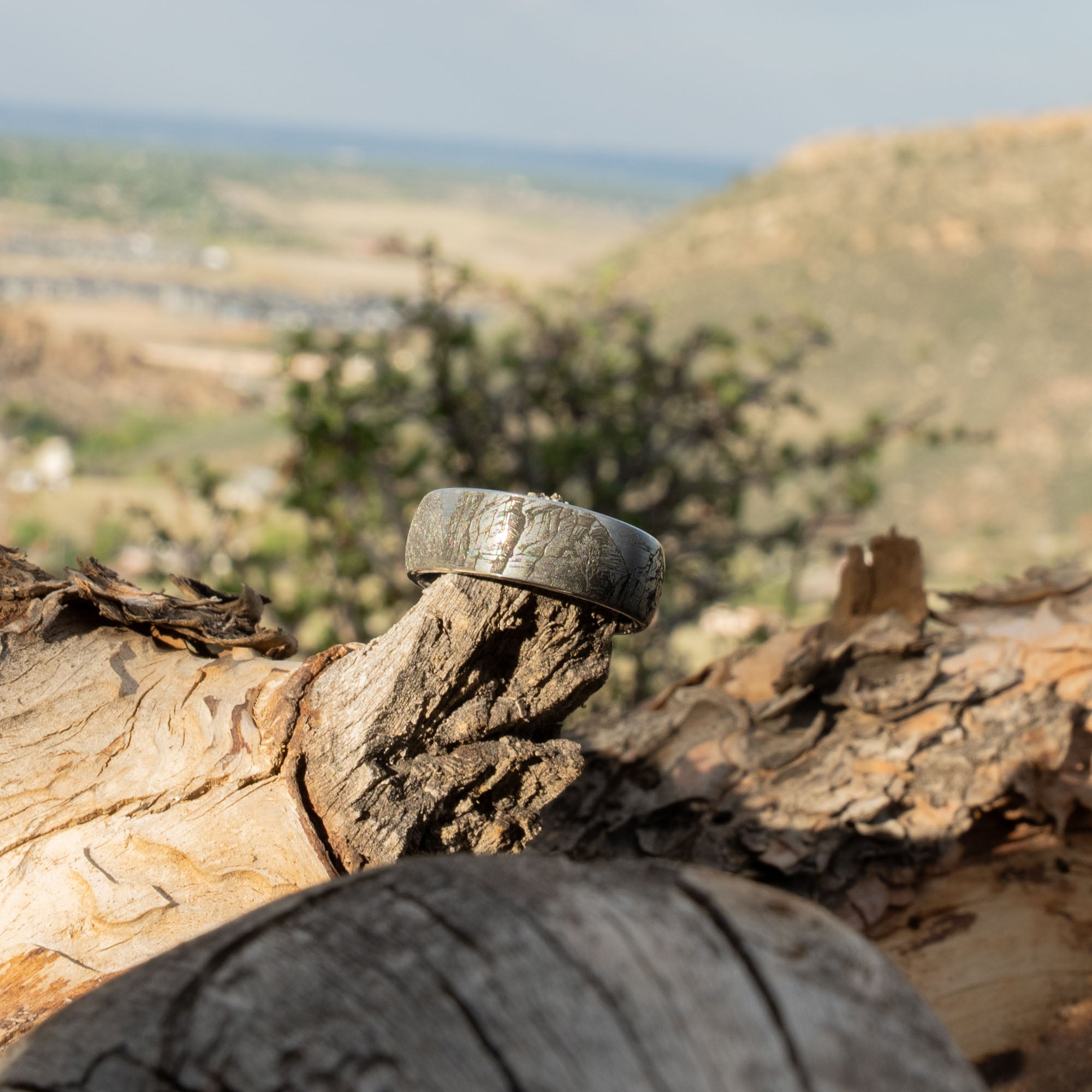 Domed Tungsten Engraved Zion National Park Ring