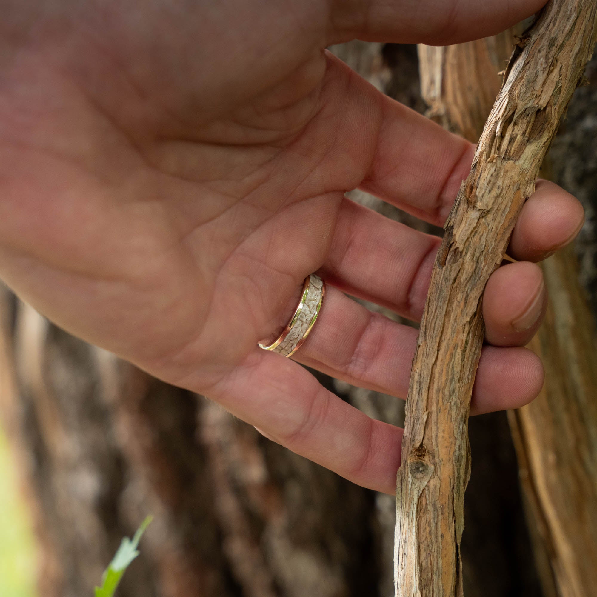 Gold Petoskey Stone Inlay Ring