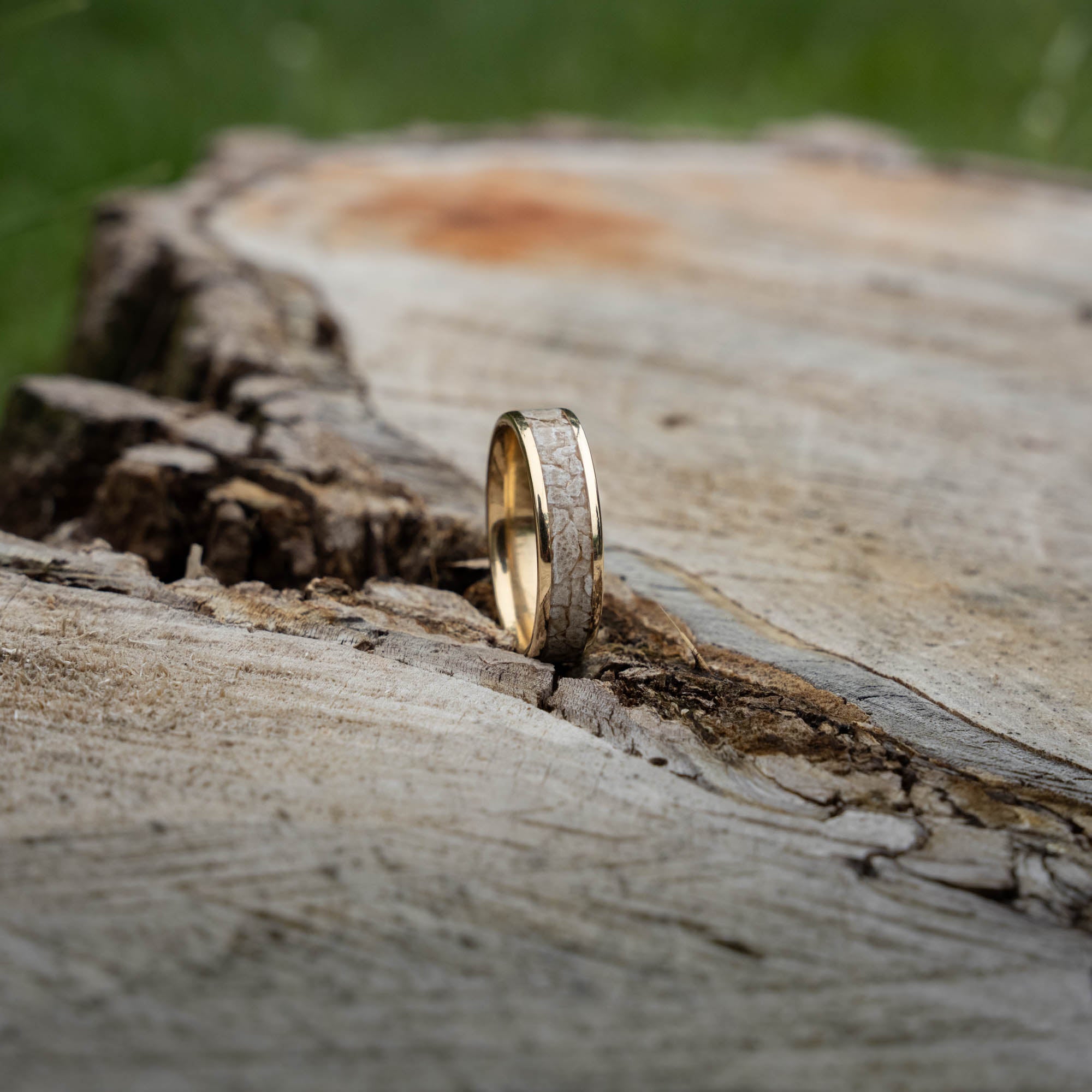 Gold Petoskey Stone Inlay Ring