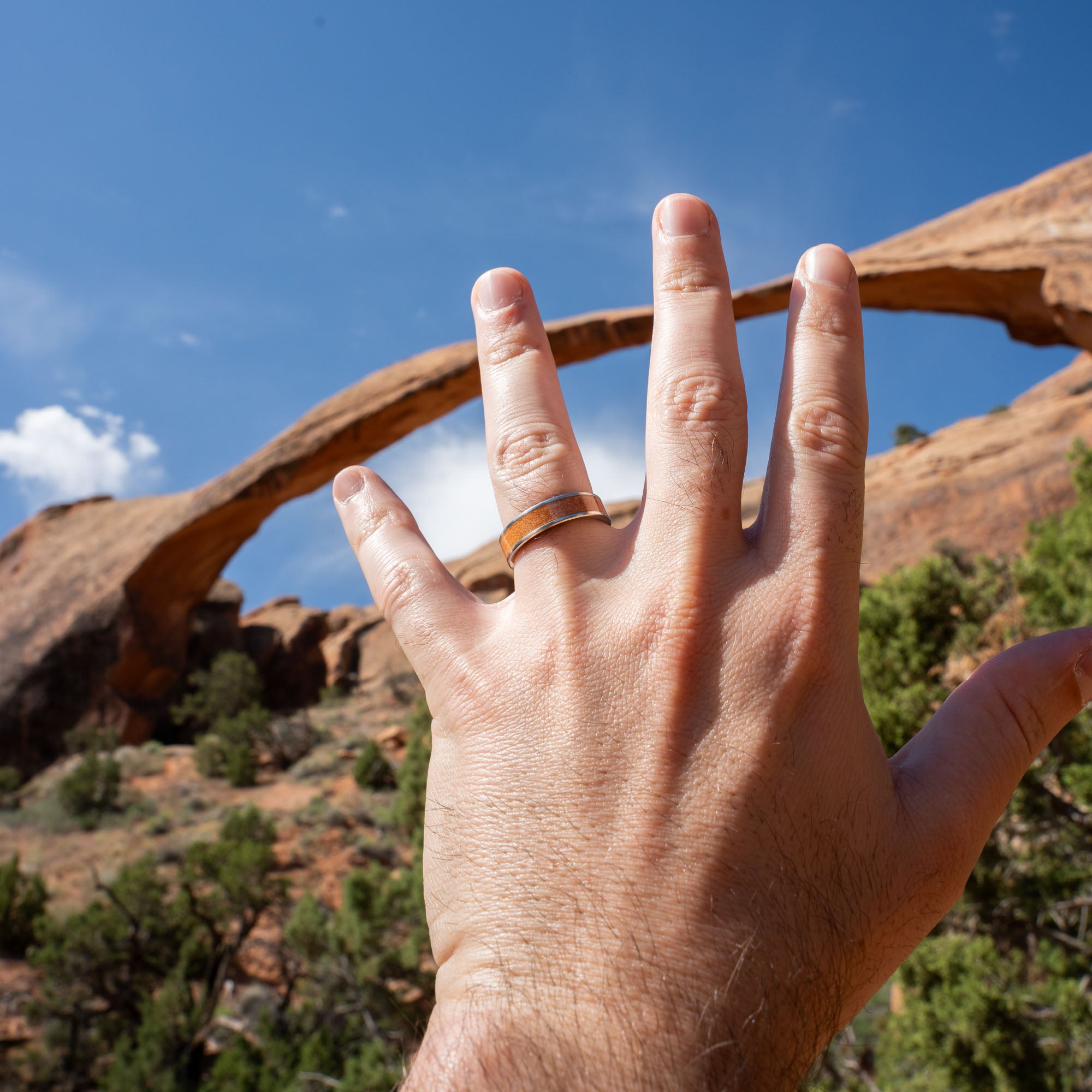 Titanium Moab Utah Rock Inlay Ring
